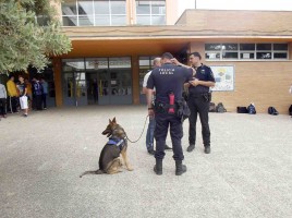 alt="perro detector droga en instituto Onil"