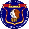 alt="logo ESDP"