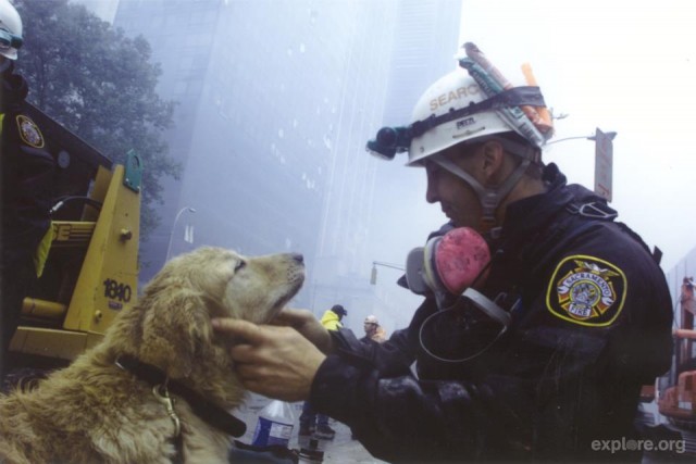 alt="heroes caninos del 11S"