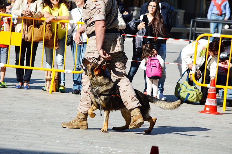 Infantería de Marina