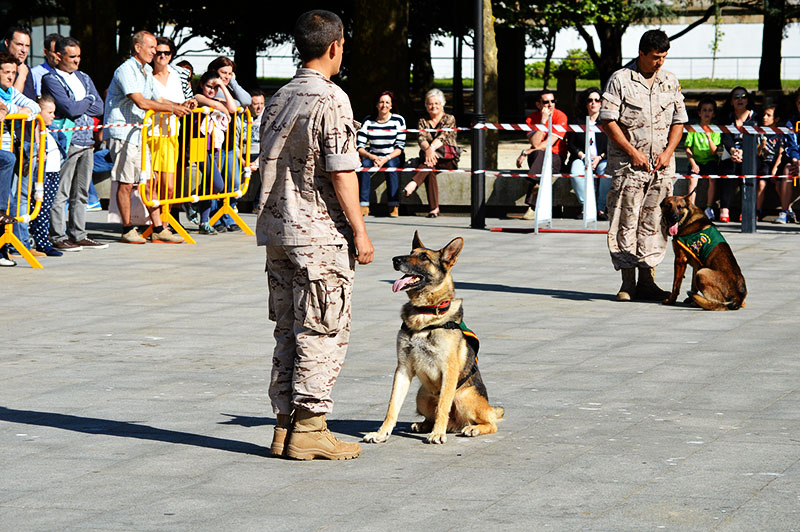 Infantería de Marina