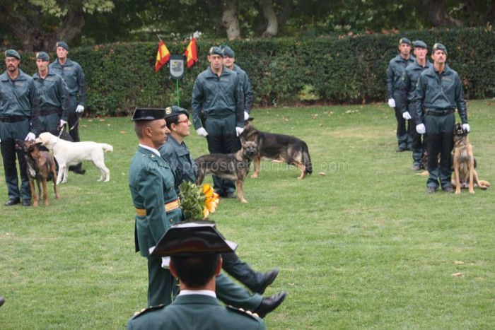 alt="equipo cinológico celebración patrona Guardia Civil"