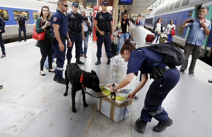 alt="perro detector explosivos estacion Marsella"