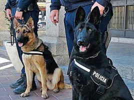 alt="denuncian maltrato perros policía Galapagar"