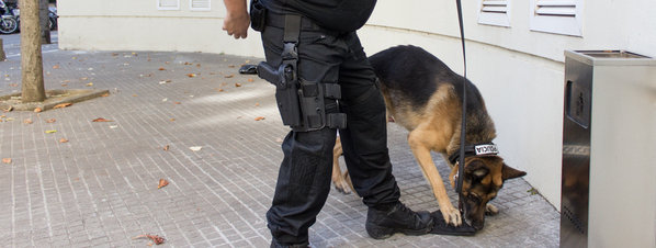 alt="perro detector policia Girona descubre droga"