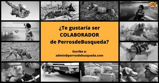 colaborar con perrosdebusqueda
