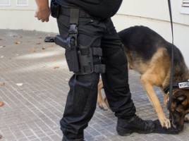 alt="perra policía Xica drogas"