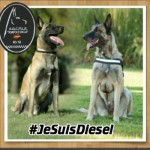 alt="homenaje a Diesel"