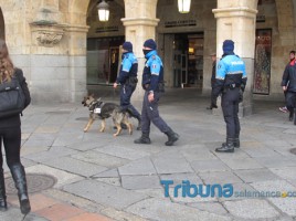 alt="perros policia en Salamanca"