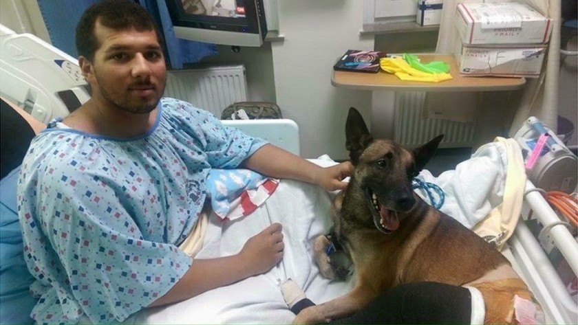 alt="soldado y perro militar juntos en hospital"