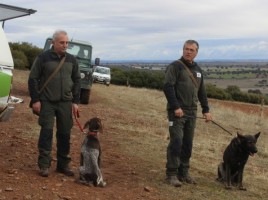 Patrulla canina contra cebos envenenados