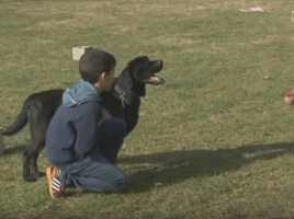 Perros jubilados Guardia Civil