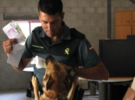 Perros del dinero en frontera con Andorra