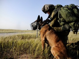 Perros IDF Oketz encuentran pistolero heces