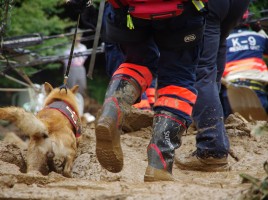 Código ético del guia canino de perros de rescate