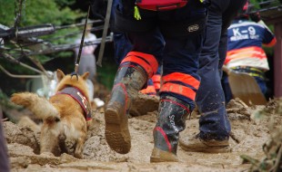 Código ético del guia canino de perros de rescate
