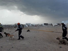 homenaje perros bomberos tras explosión pirotecnia Zaragoza