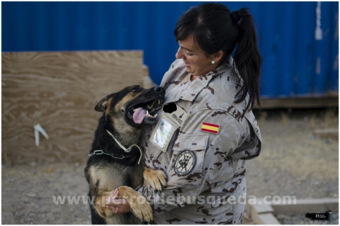 María y Tancho Perro militar explosivos