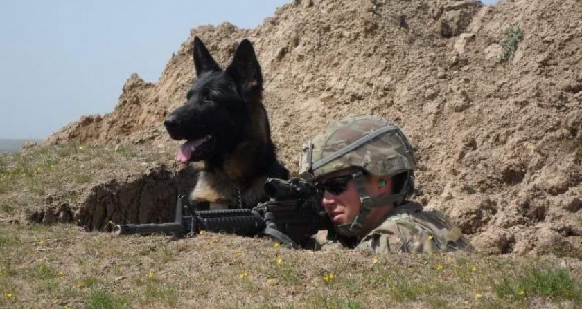 K2 perros militares retirados adopciones