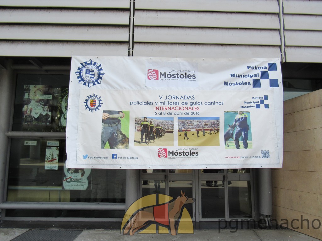 V Jornadas