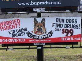Alquiler de perros detectores de drogas