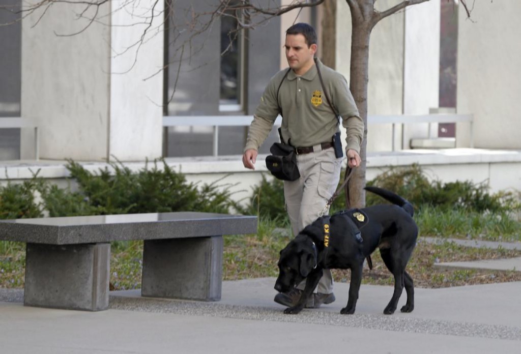 perros detectores de explosivos desde el 11-S