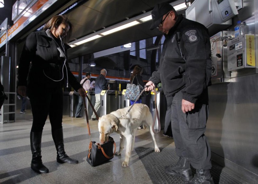 perros detectores de explosivos desde el 11-S