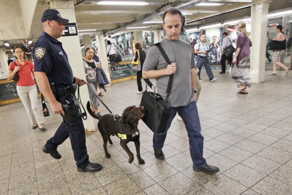 perros detectores de explosivos desde el 11-S