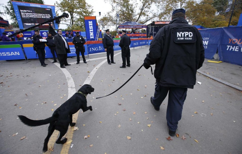 perros detectores de explosivos desde el 11-S