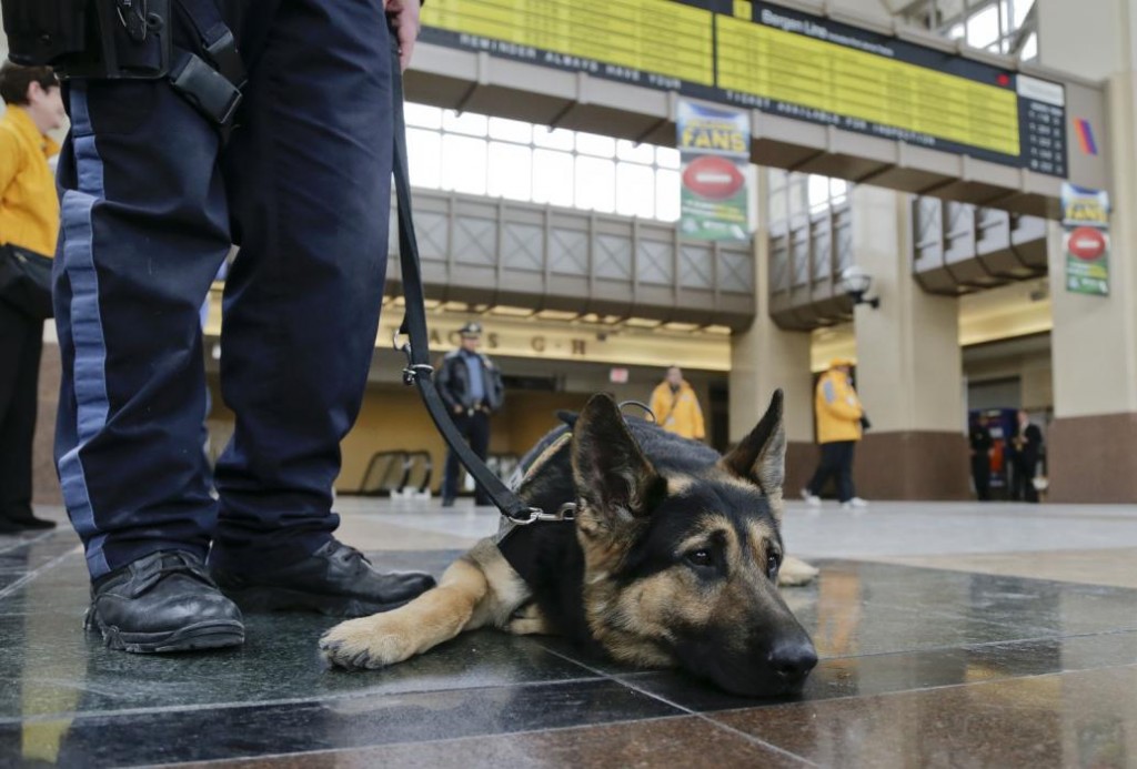 perros detectores de explosivos desde el 11-S