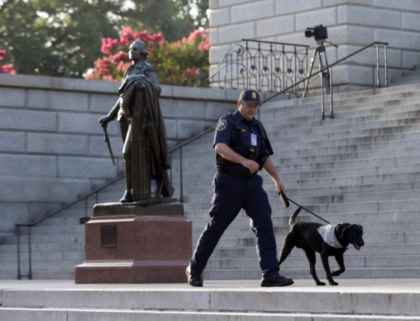 perros detectores de explosivos desde el 11-S