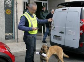 operación antidroga en A Estrada