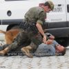 Exhibiciones caninas en el Día de las Fuerzas Armadas