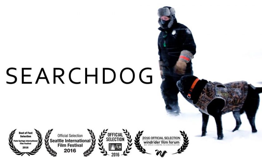 Searchdog la película de los perros de búsqueda y rescate