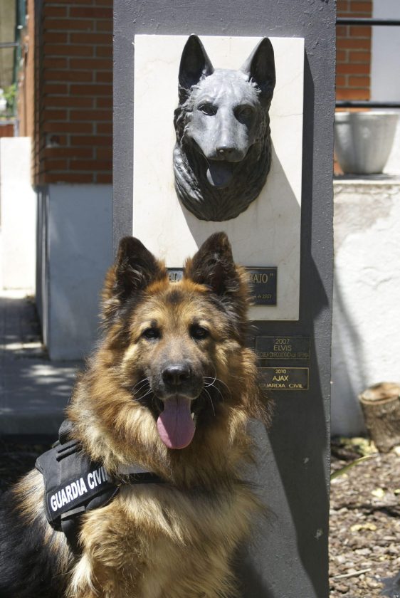 homenajes a los perros de trabajo