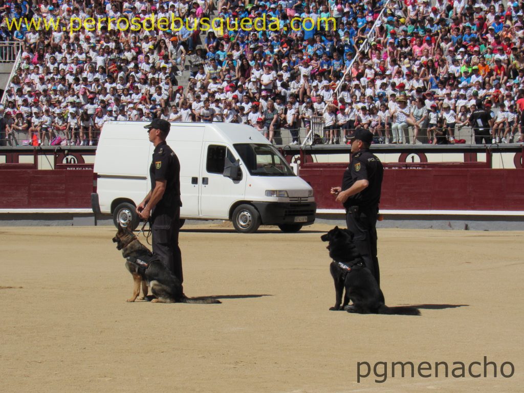 7ª Exhibición