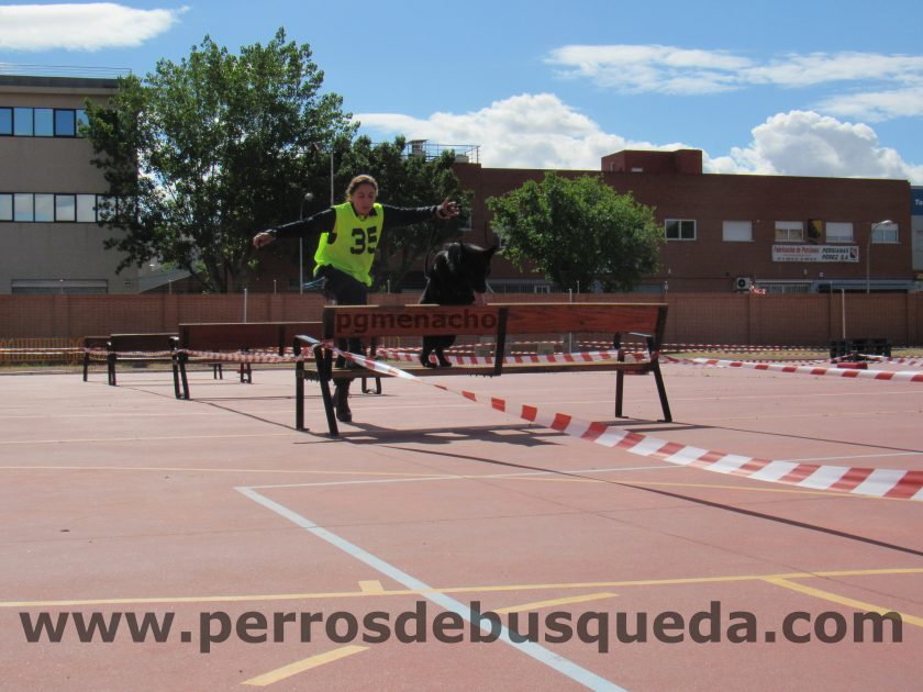  XIII Carrera de Guías Caninos