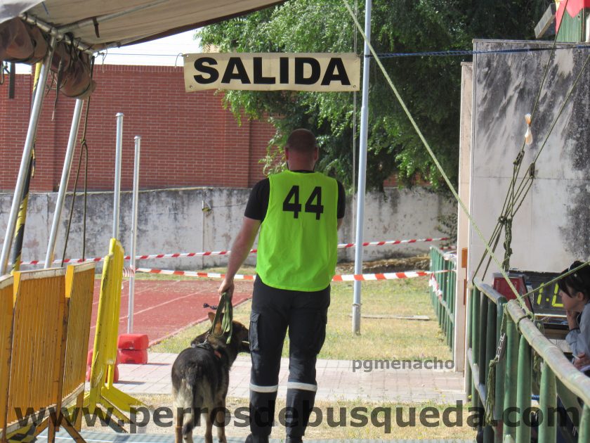  XIII Carrera de Guías Caninos