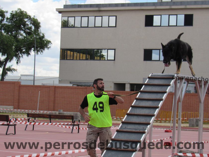  XIII Carrera de Guías Caninos