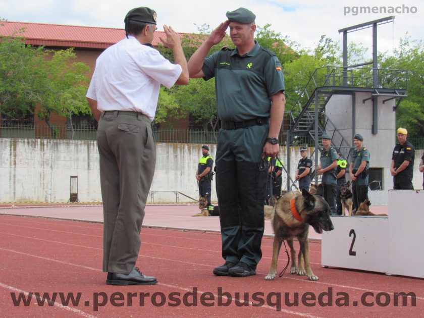  XIII Carrera de Guías Caninos