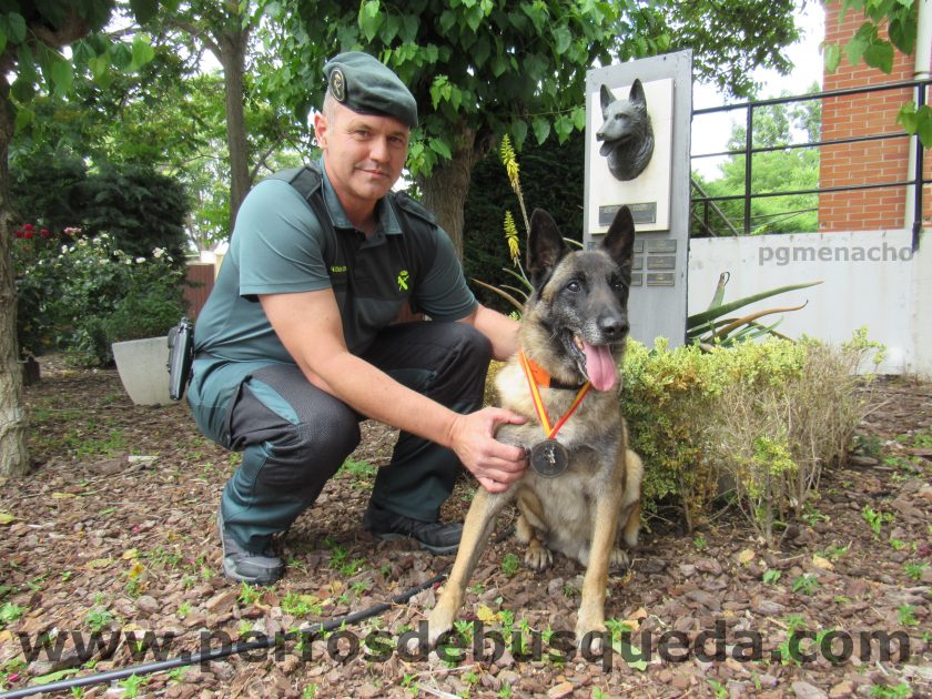  XIII Carrera de Guías Caninos