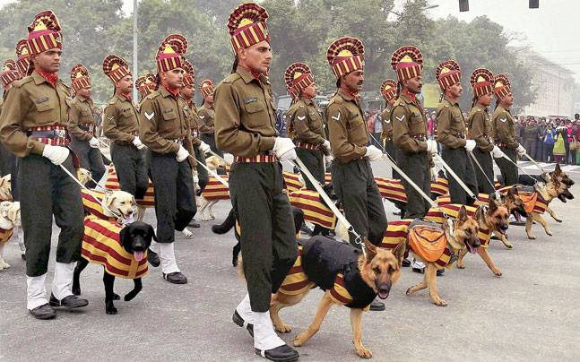 División Canina del Ejército Indio