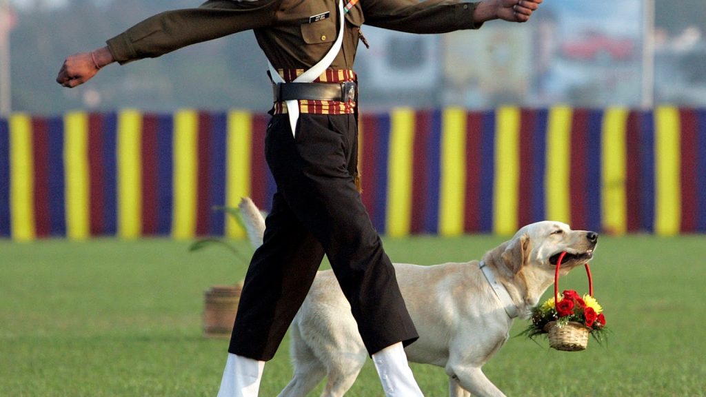 División Canina del Ejército Indio