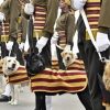 División Canina del Ejército Indio