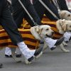 División Canina del Ejército Indio