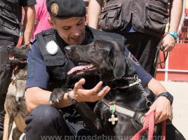 Policías en Collado Mediano