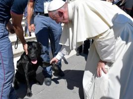 felicitado por el Papa