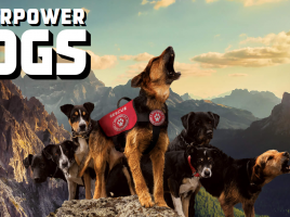 Superpower Dogs