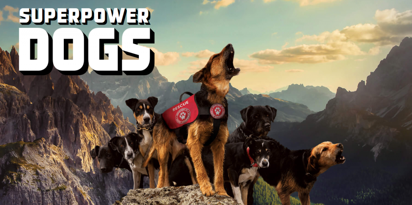 Superpower Dogs