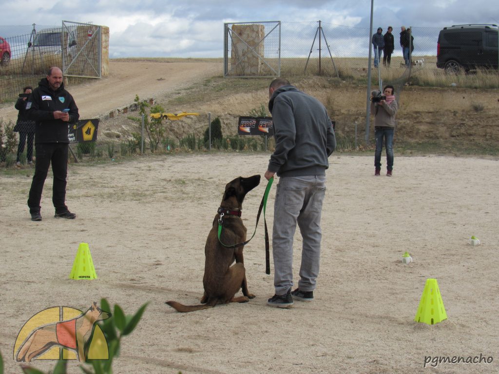 II Copa de España